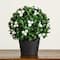 15in. UV Resistant Artificial Boxwood and Gardenia Topiary Plant (Indoor/Outdoor)